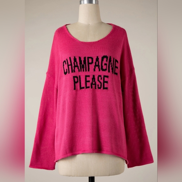 #460 🛑 S,M "Champagne Please" Long Sleeve Sweater Top - Picture 2 of 6